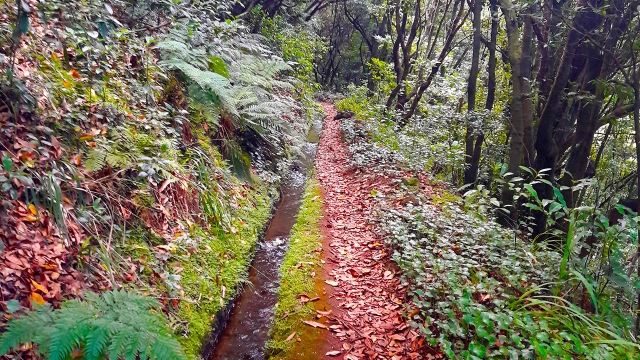Sendero junto a las fuentes de agua