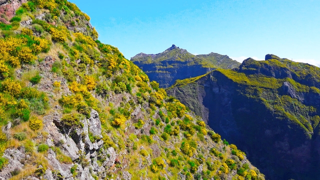 Vistas desde los picos
