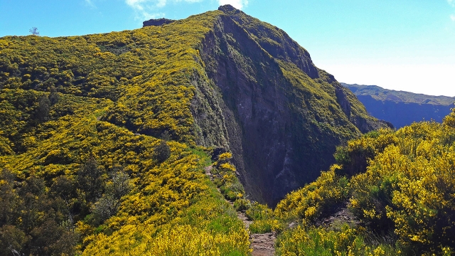 Cima de las montañas de Madeira