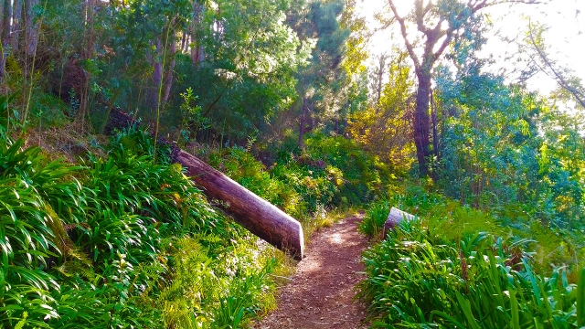 Senderos por Vale do Paraíso