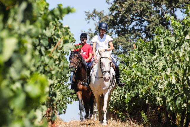 Paseo a caballo entre los viñedos
