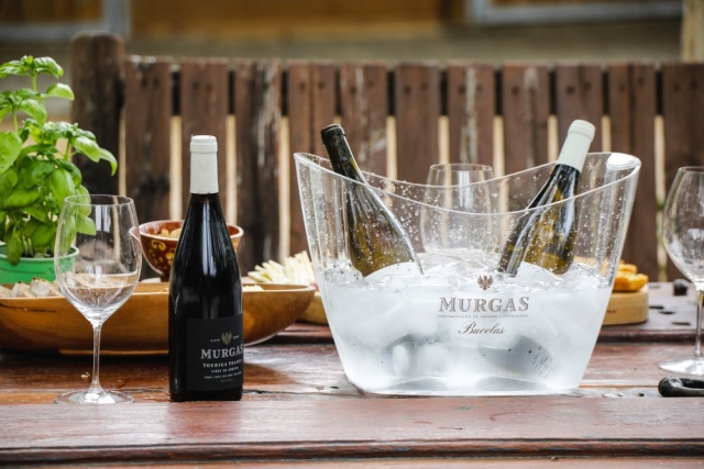 Vinos de Cavalos da Vinha