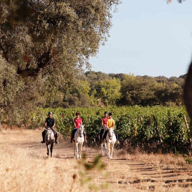 Pbaños con los rayos del sol