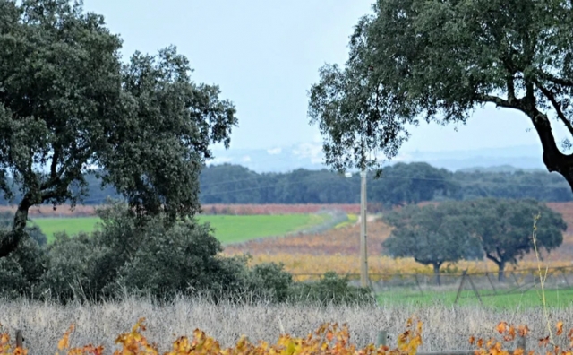 Paisajes de la zona