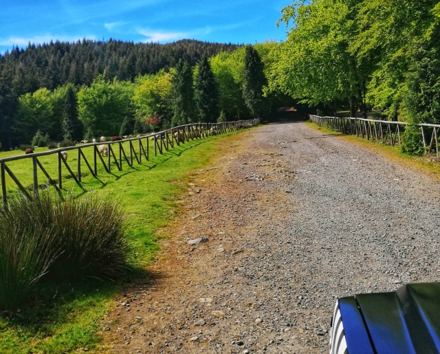 Descubre Madeira con nuestros jeeps