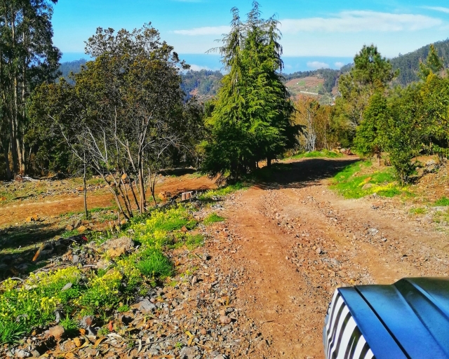 Disfruta de una ruta en 4x4