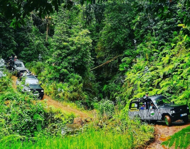 Jeeps en ruta