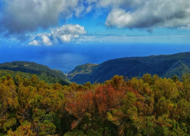 No le pierdas las vistas