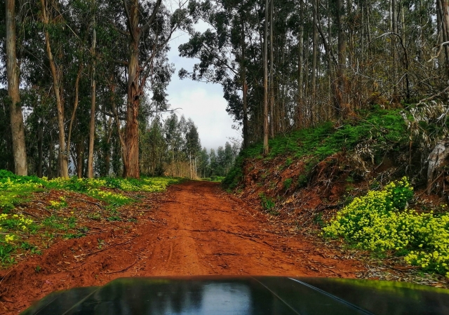 Venga a vivir aventuras en jeep