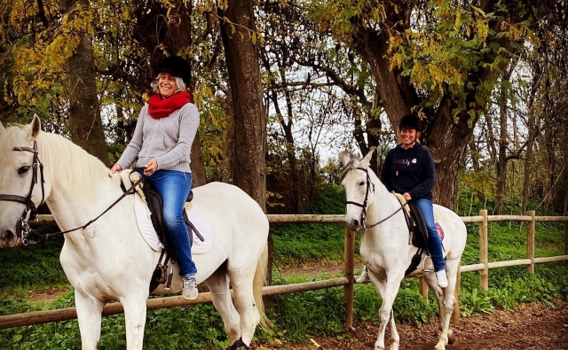 Experiencia inolvidable