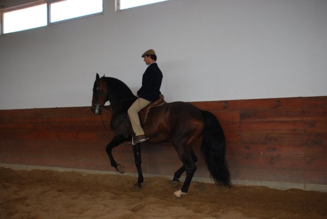 Cabalgando 