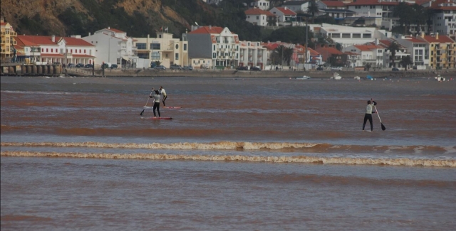 Varios usuarios navegan tranquilamenle mientras practican paddle surf