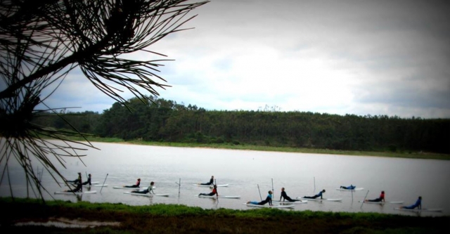 Varios bañistas practicando cerca de la orilla las posturas del paddle board