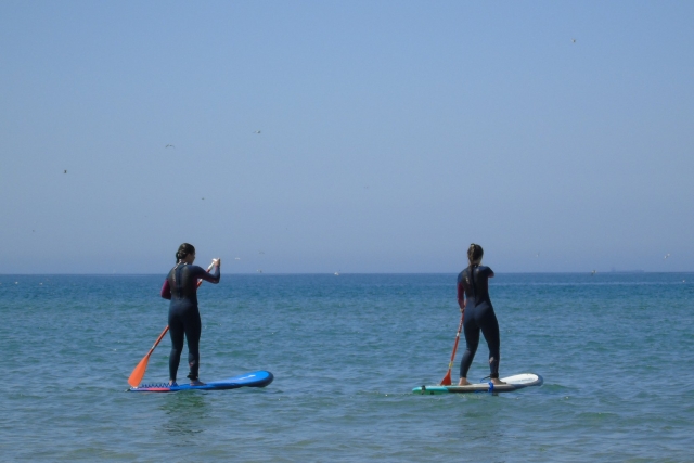 Dos usuarios de paddle board remando al unísono