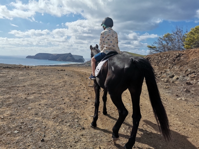 Como el llanero solitario observando la lejanía del horizonle