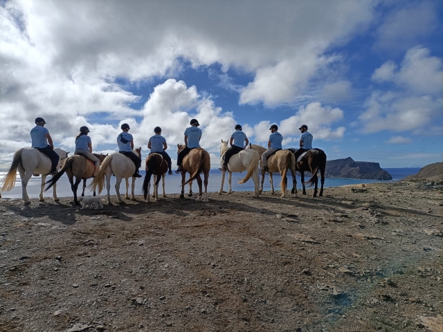 Una imagen épica de un grupo de espaldas a cámara a lomos de sus respectivos caballos