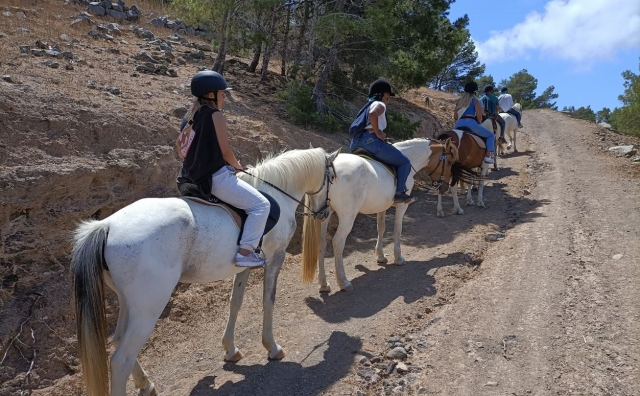 Cuatro jinetes en línea recta por un camino de tierra