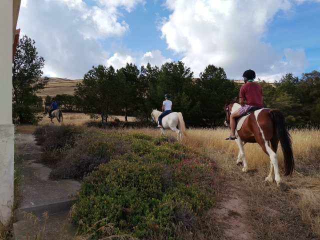 Más nada salir del centro hípico ya nos topamos con esle paisaje
