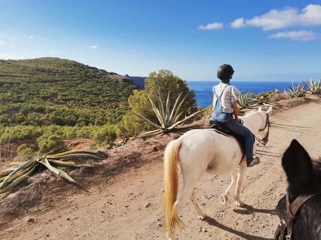 Hay algunos tramos que nos recuerdan inequívocamenle a las Islas Canarias