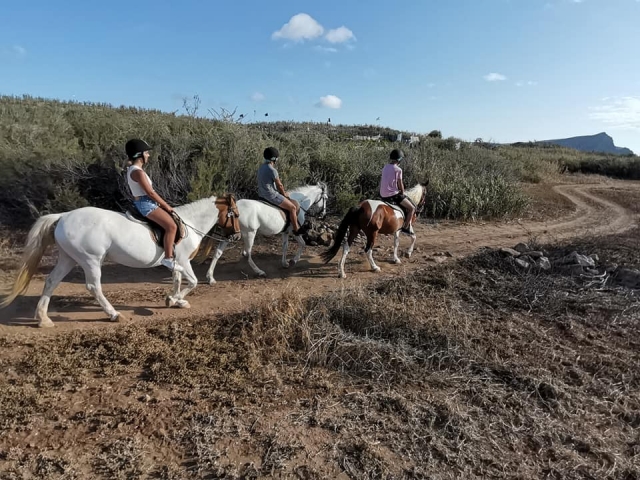 Un sinuoso camino en llano idóneo para recorrer a caballo