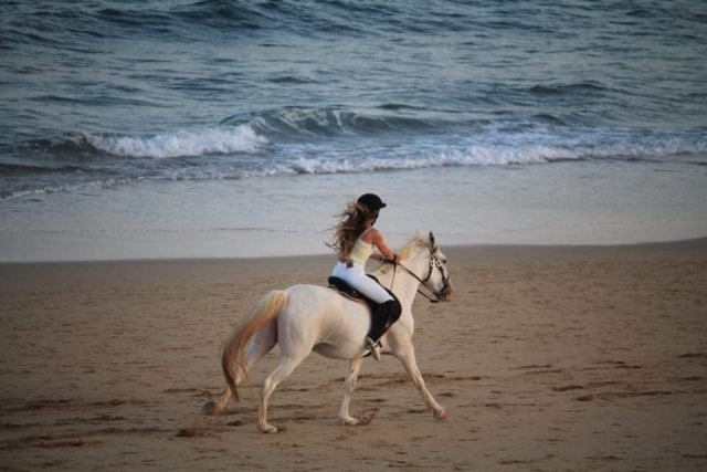 Galopando velozmenle por la arena de la costa portuguesa