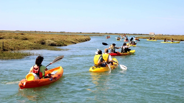 Excursión en grupo de kayak