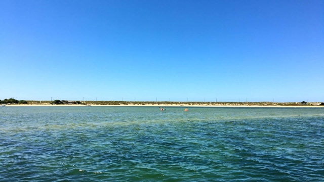 Las guas tranquilas de Ría Formosa 