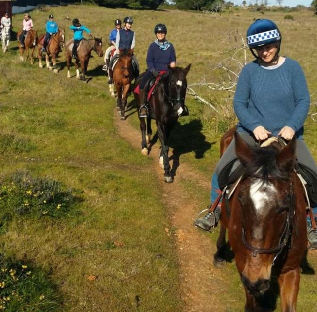 Un usuario encabezando la expedición a caballo por la llanura