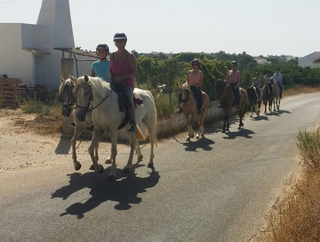 Uan ruta que sigue un camino pavimentado en uno de los tramos del itinerario