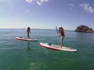 Paddle Surf y snorkel Praia Ribeiro Cavalo 3h