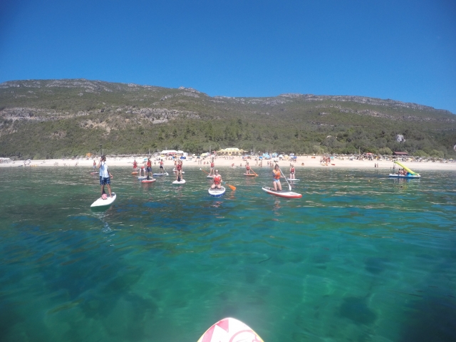 Grupo de paddle board preparado