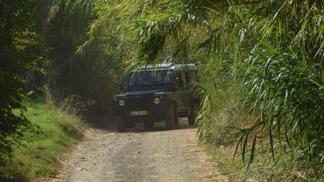 Nuestro jeep en ruta