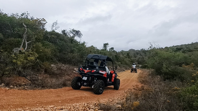 Recorriendo en buggy los caminos