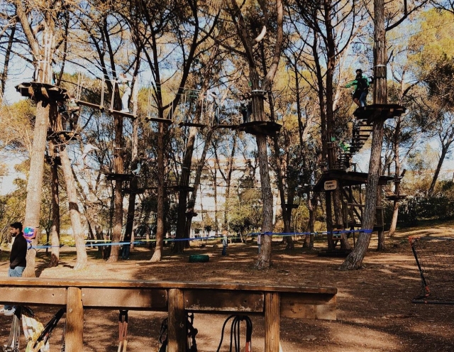 Una vista general de nuestro parque