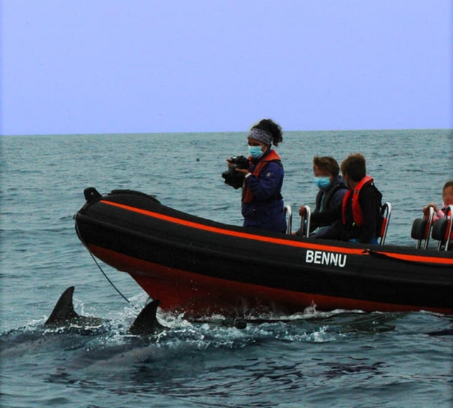 Aunque no son conscientes de su presencia, dos aletas debajo del barco indican la presencia de delfines