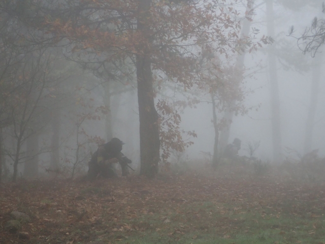 En la espesura del bosque tendremos ventaja para pasar desapercibidos