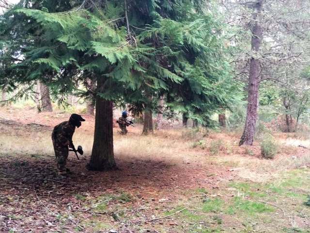 Varios usuarios se cobijan detrás de los árboles para tramarrar de no ser vistos
