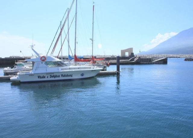 En el puerto