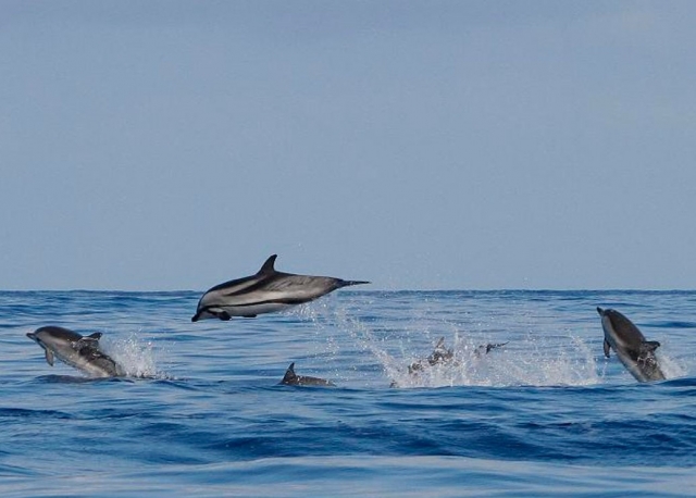 Saliendo del agua