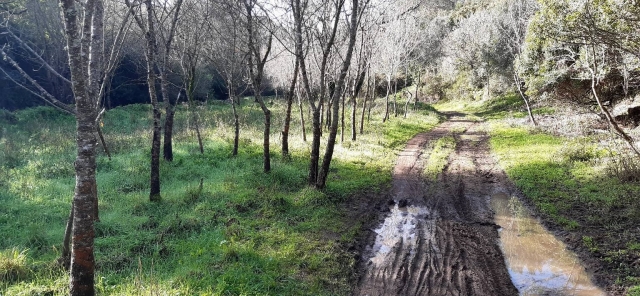 Escenario por el que transcurre la ruta en BTT