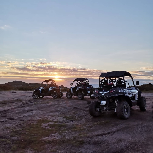 Equipo de 3 buggies
