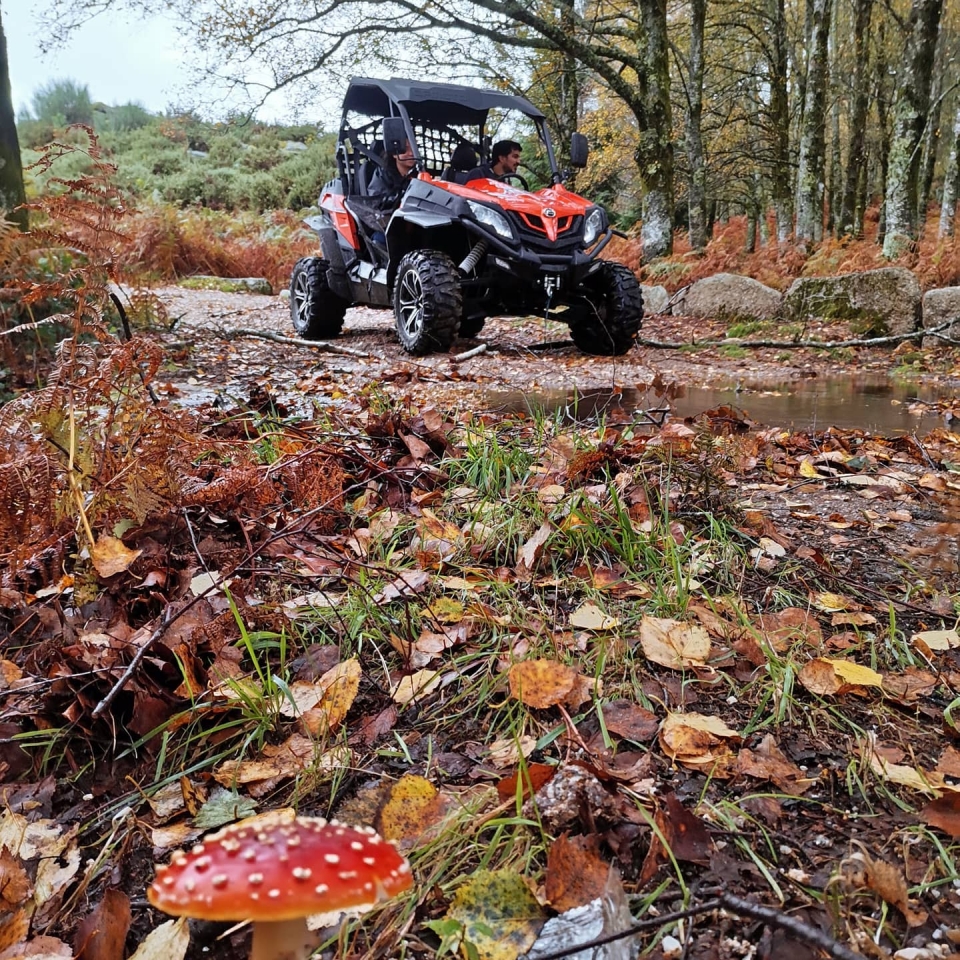 Una ruta en buggy duranle el otoño de Portugal