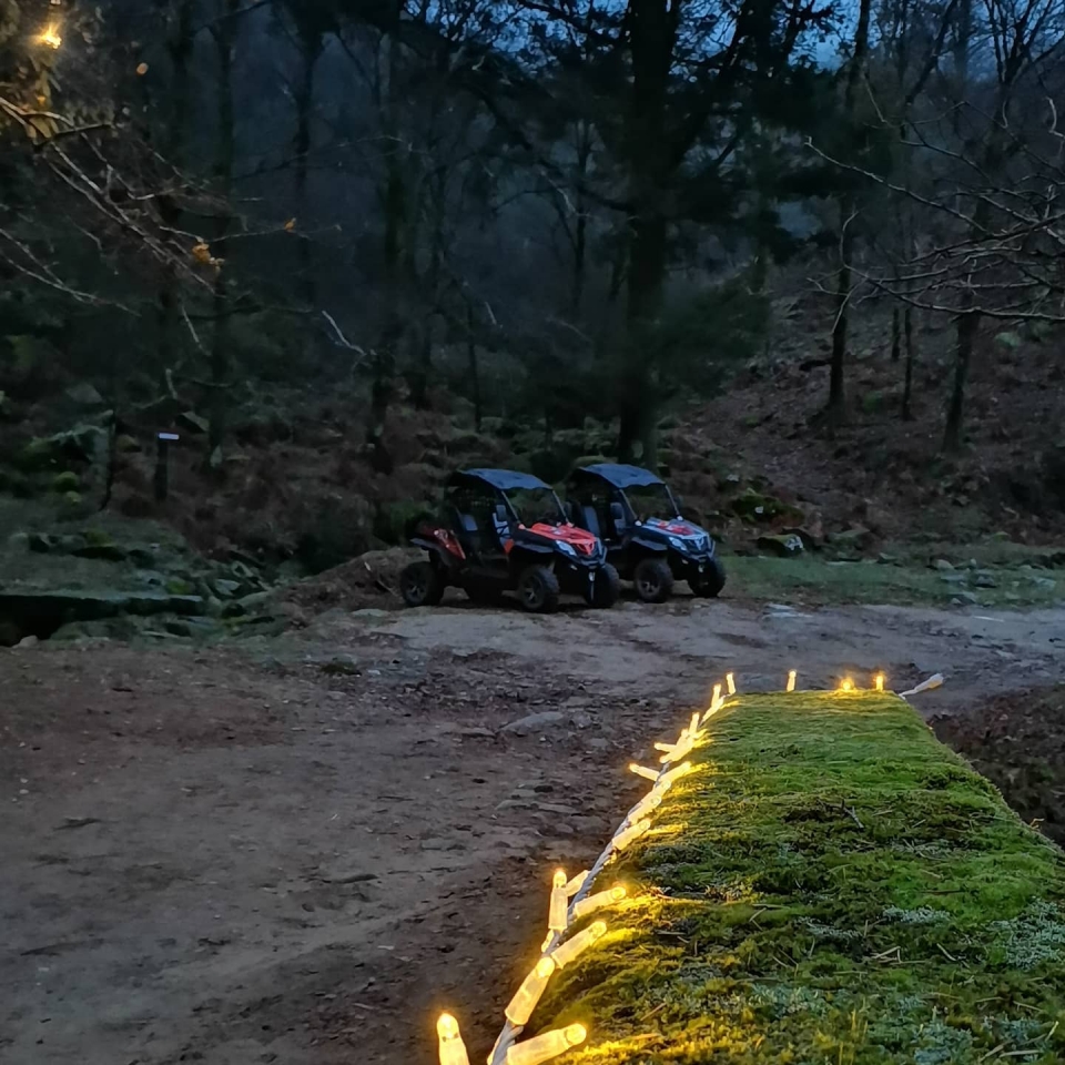 Buggies listos para disfrutar de la experiencia