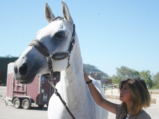Haga una ruta a caballo
