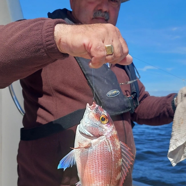 Pez rosado con el anzuelo