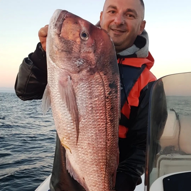 Peces entre las manos