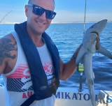 Jornada pesca de tiburón desde Alvor (Algarve) 6h