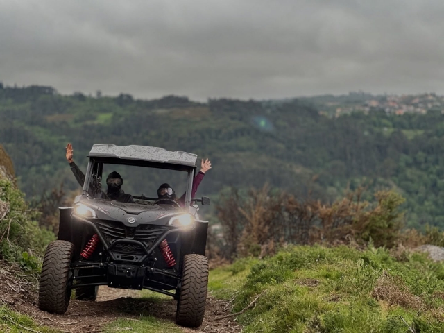 Flota de buggy por el campo 