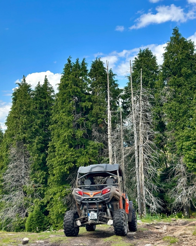  Una ruta en buggy 