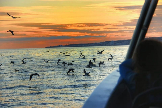 Disfrutando de las aves duranle el paseo en barco